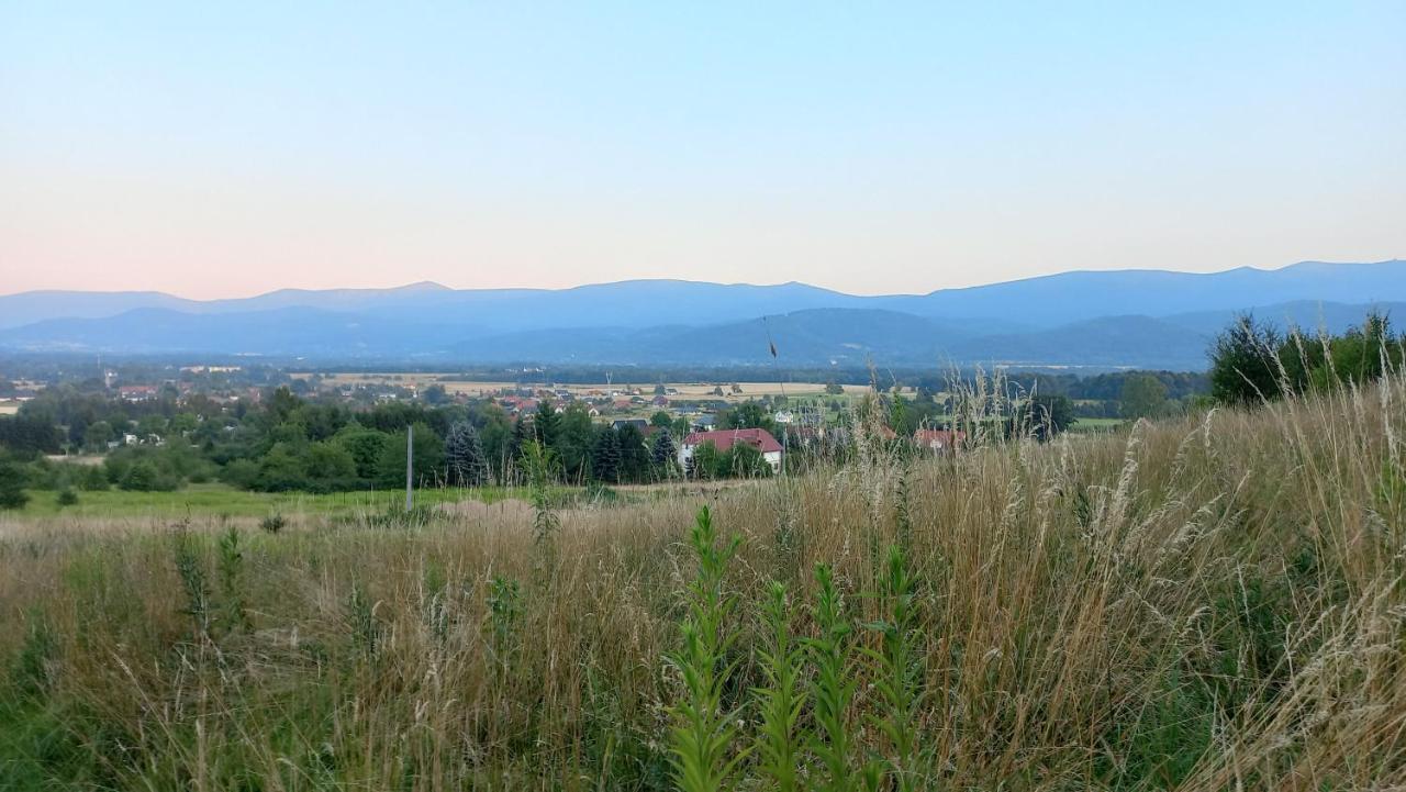 Apartament Waniliowe Zacisze Jelenia Góra Zewnętrze zdjęcie