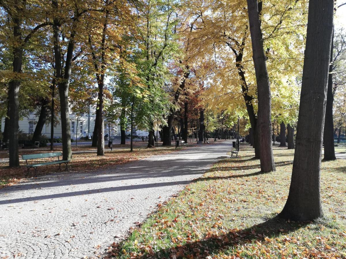 Apartament Waniliowe Zacisze Jelenia Góra Zewnętrze zdjęcie